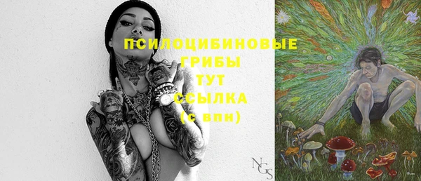 винт Арсеньев